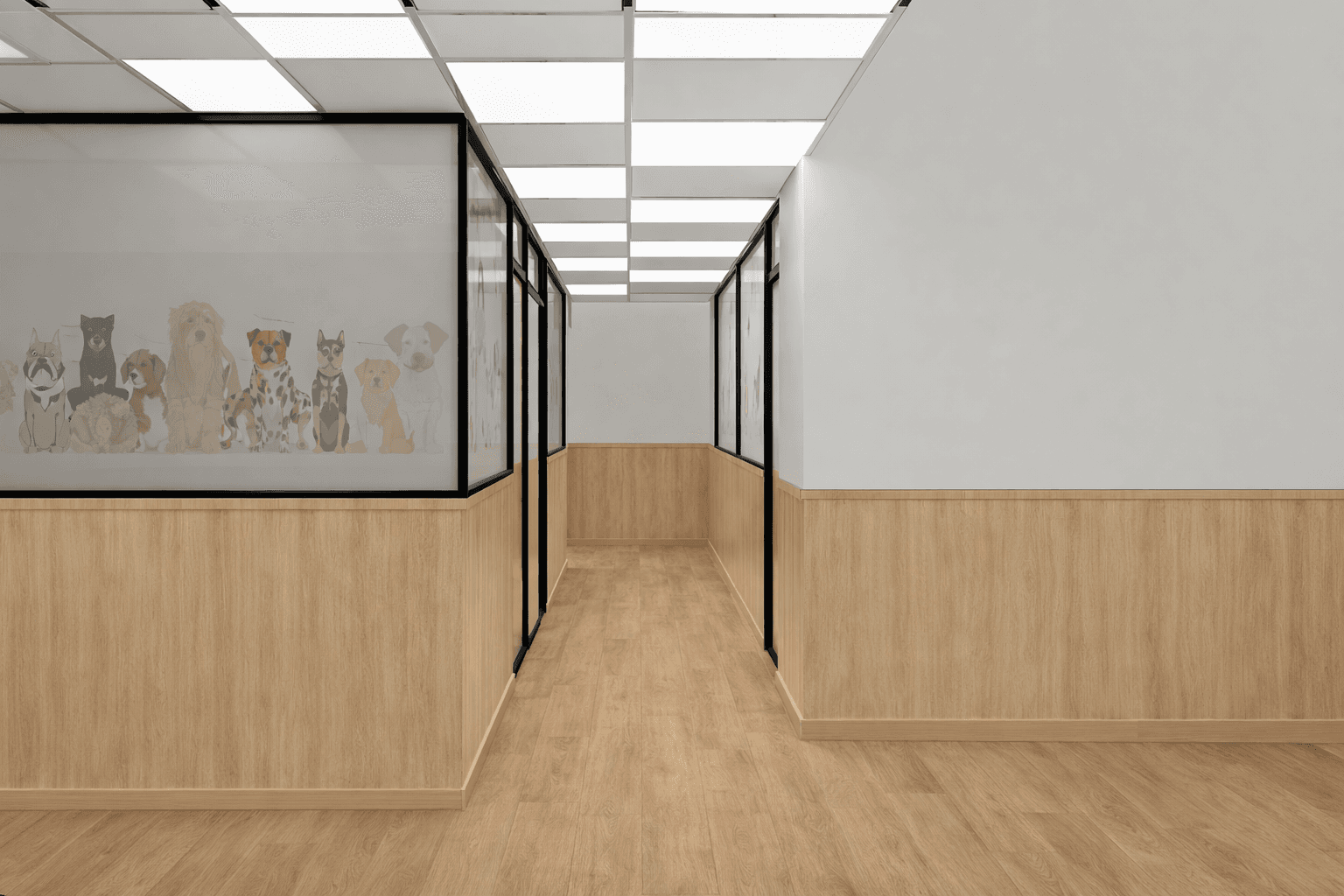 Pet Care Clinic - Consultation Space